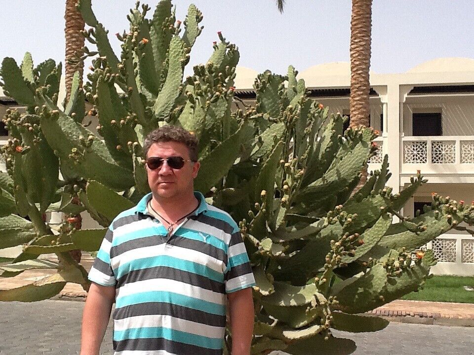 ���� 56353727 ������� ����, 56 ���, ���� ���������� � ���������