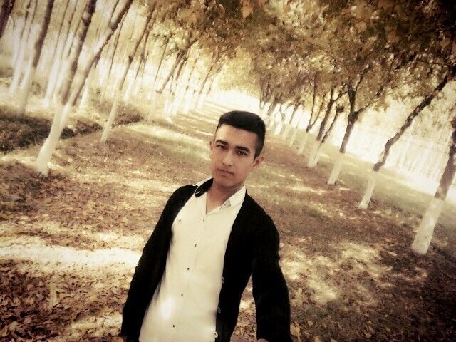  17598667  Oybek, 25 ,    