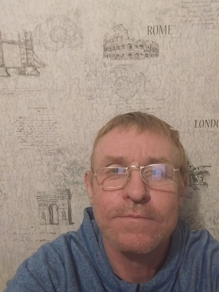  31341387  , 51 ,    