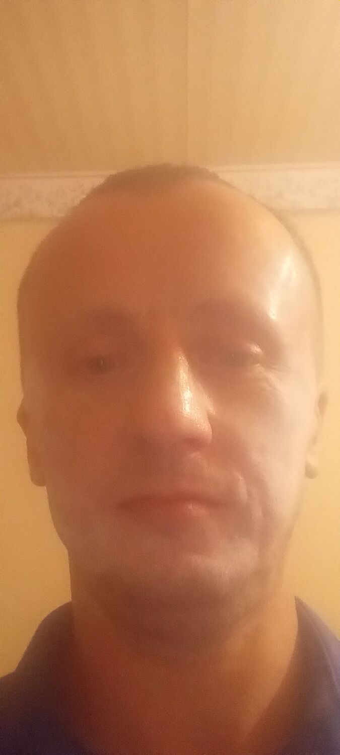  38234147  , 40 ,    -