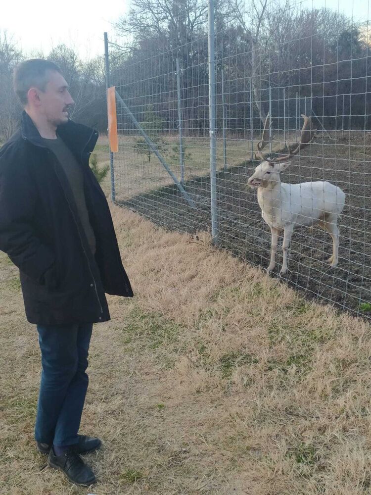 ���������� ���������, ���� ������� �����, 39 ���, ������������ ��� ����� � ���������, c�������� ���������