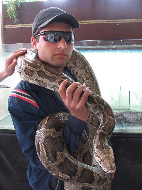 ���� 8929507 ������� STALKER, 35 ���, ���� ���������� � ����������