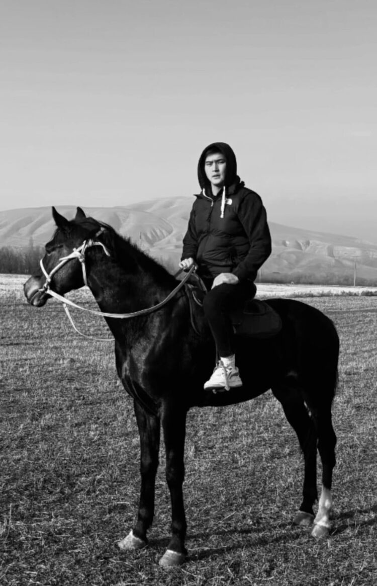 ���� 55947517 ����� ������, 23 ����, ���� ���������� � �������