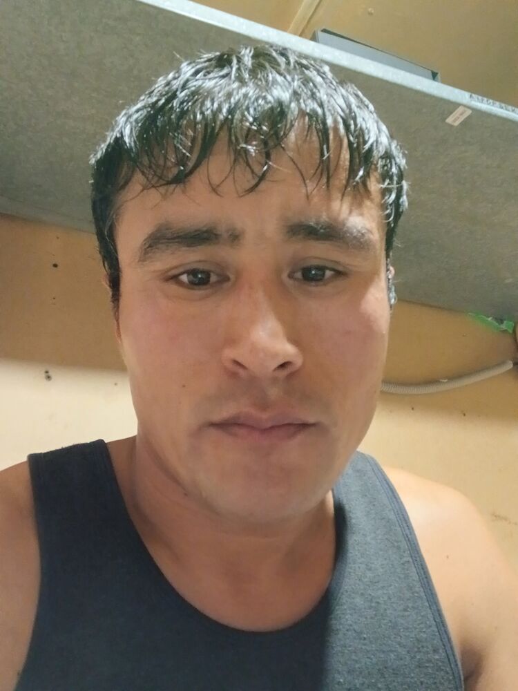  47331847  , 37 ,    