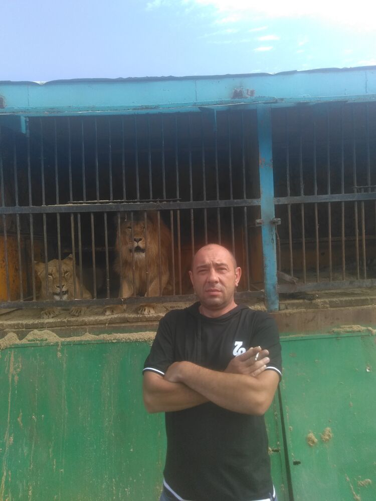 ���� 38395627 ������� �������, 44 ����, ���� ���������� � ������