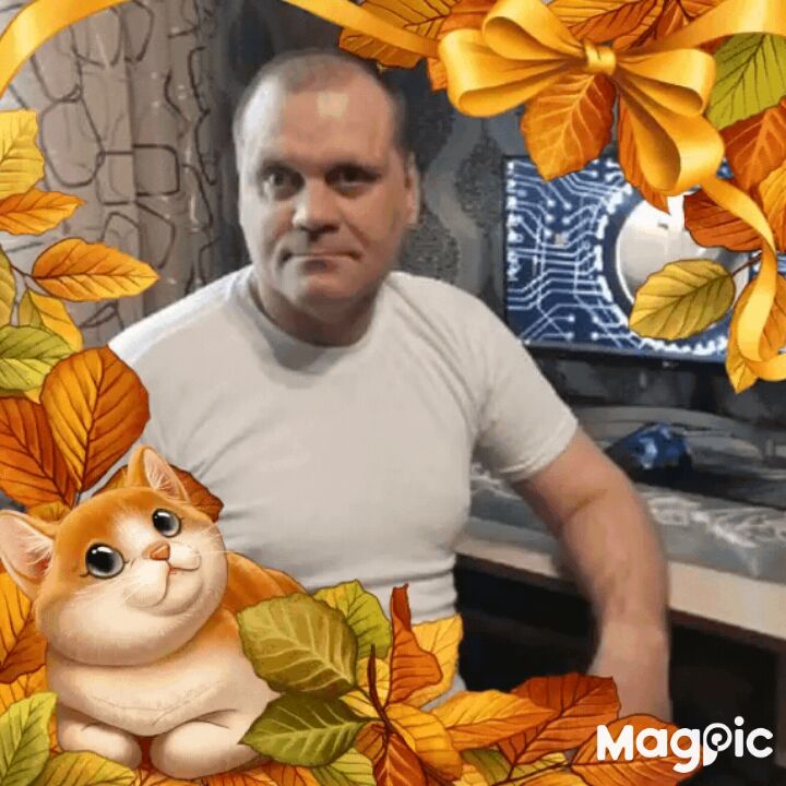   ,   , 46 ,   c 