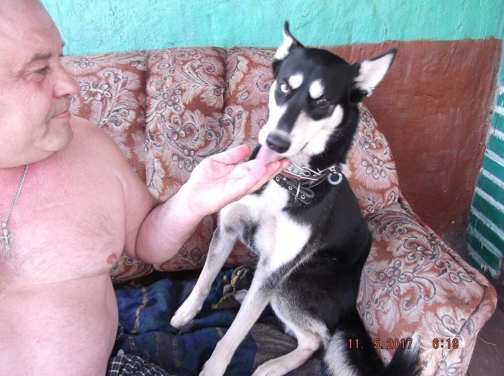  ,   , 62 ,   
