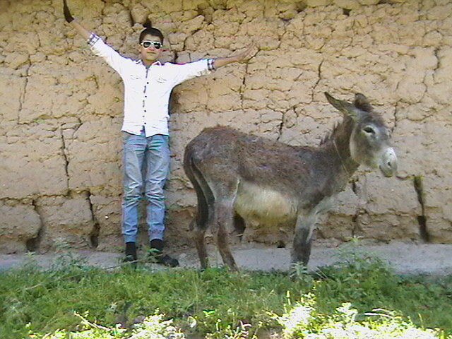  4615177  Hasratshoh, 30 ,    