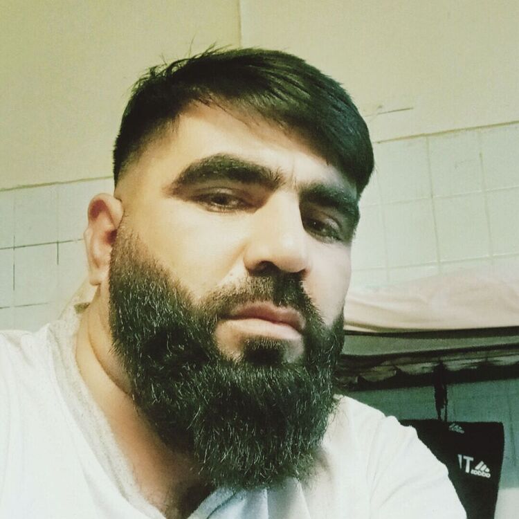  53029797  , 34 ,    