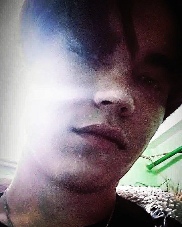 ���� 24133357 ������� ������, 26 ���, ���� ���������� � �������