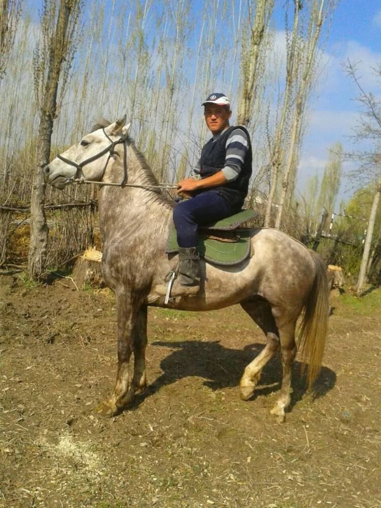 ���� 44257717 ������� �����, 39 ���, ���� ���������� � ��������