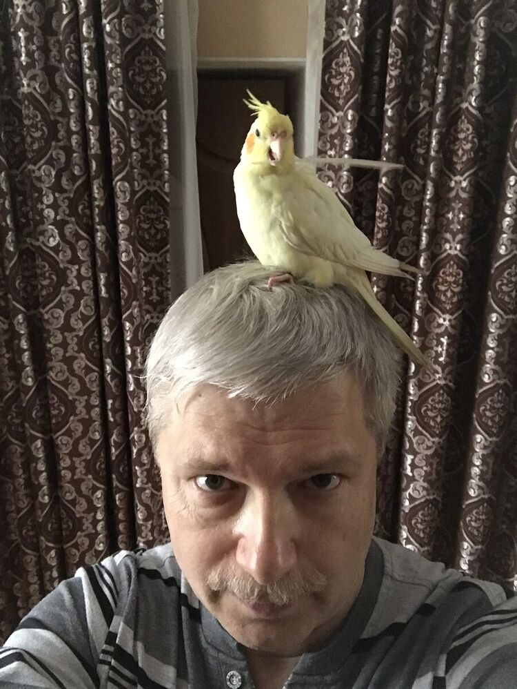  ,   , 55 ,  