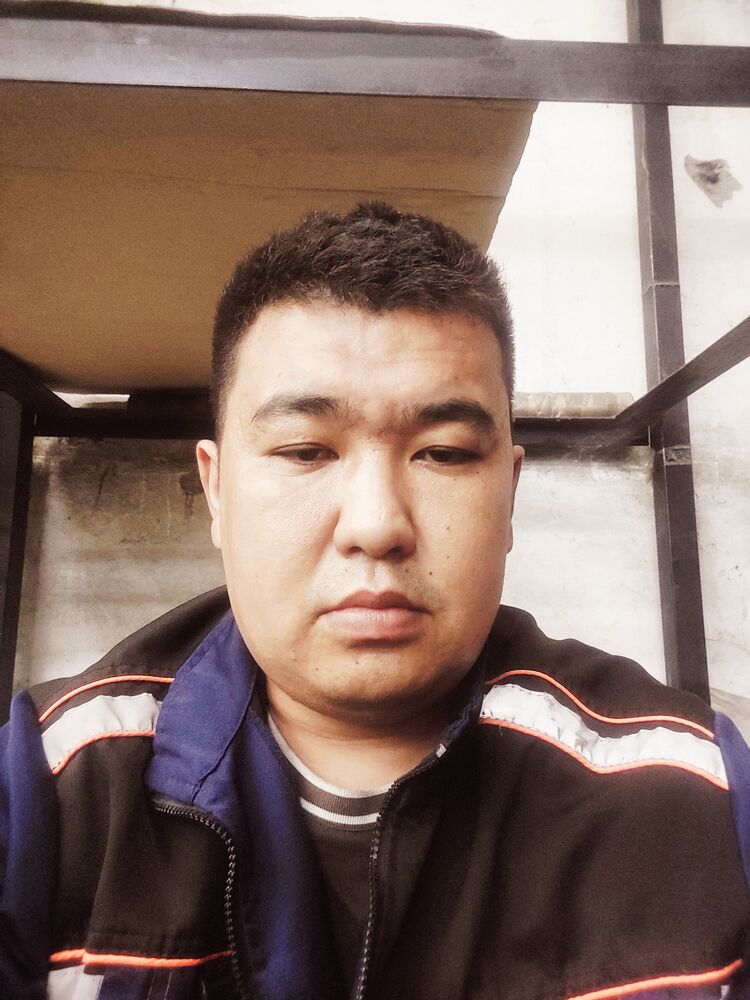  53464347  , 29 ,    