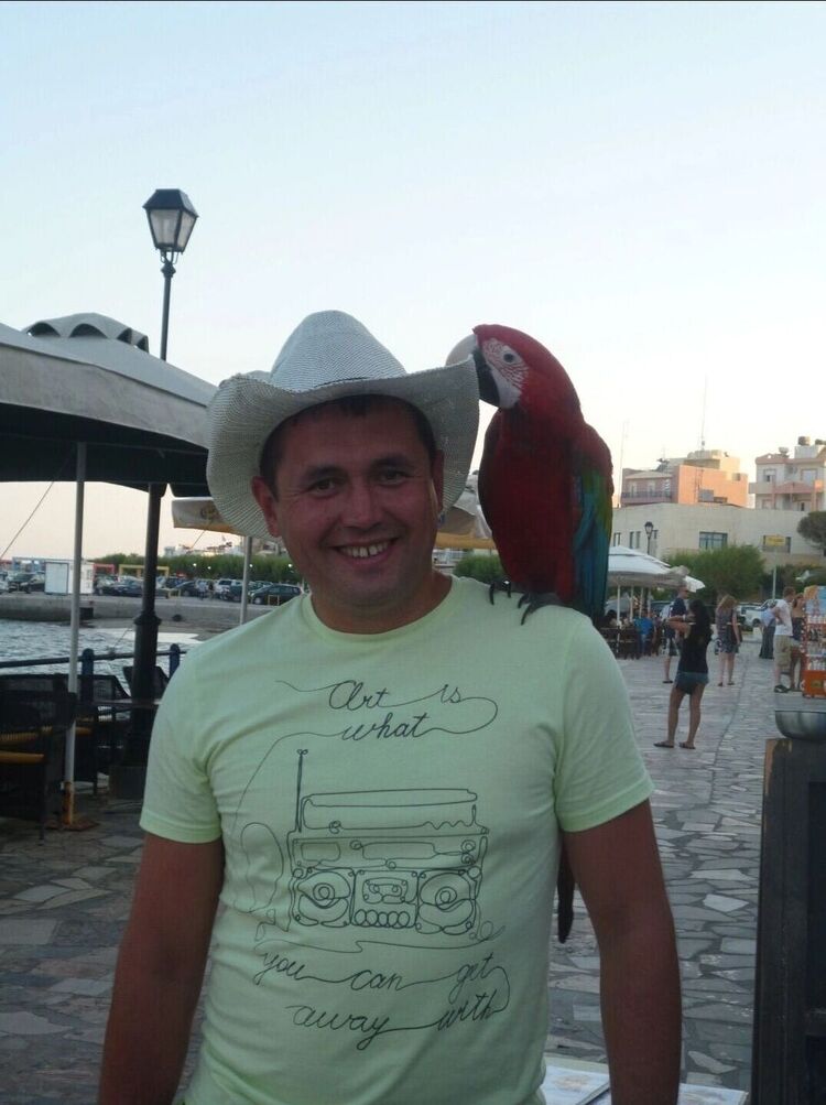 ���������� ���������, ���� ������� �����, 45 ���, ������������ ��� ����� � ���������, c�������� ���������, ���������