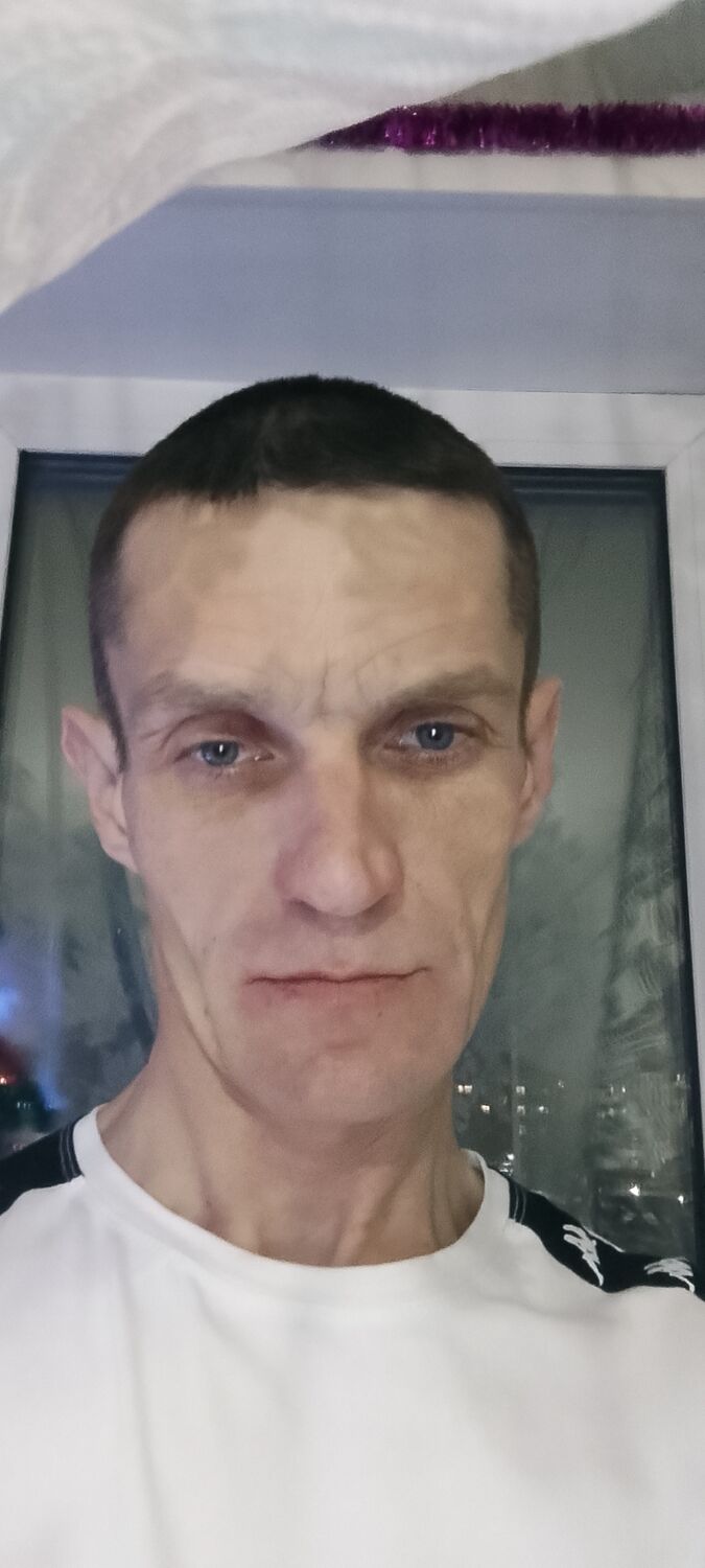  48637737  , 40 ,    