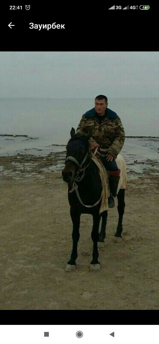 ���� 23900347 ������� �������, 46 ���, ���� ���������� � ��������