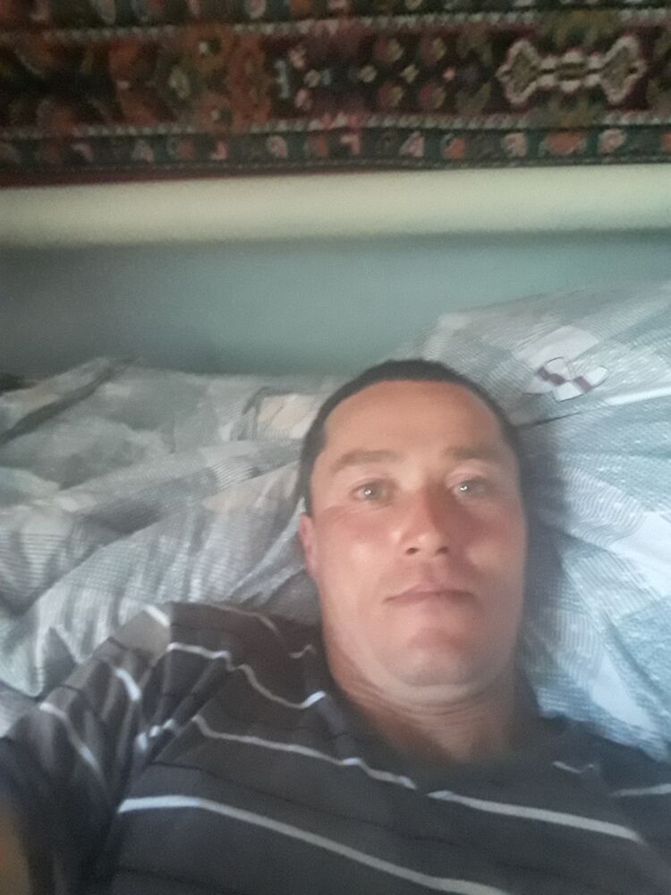  29761007  , 42 ,    