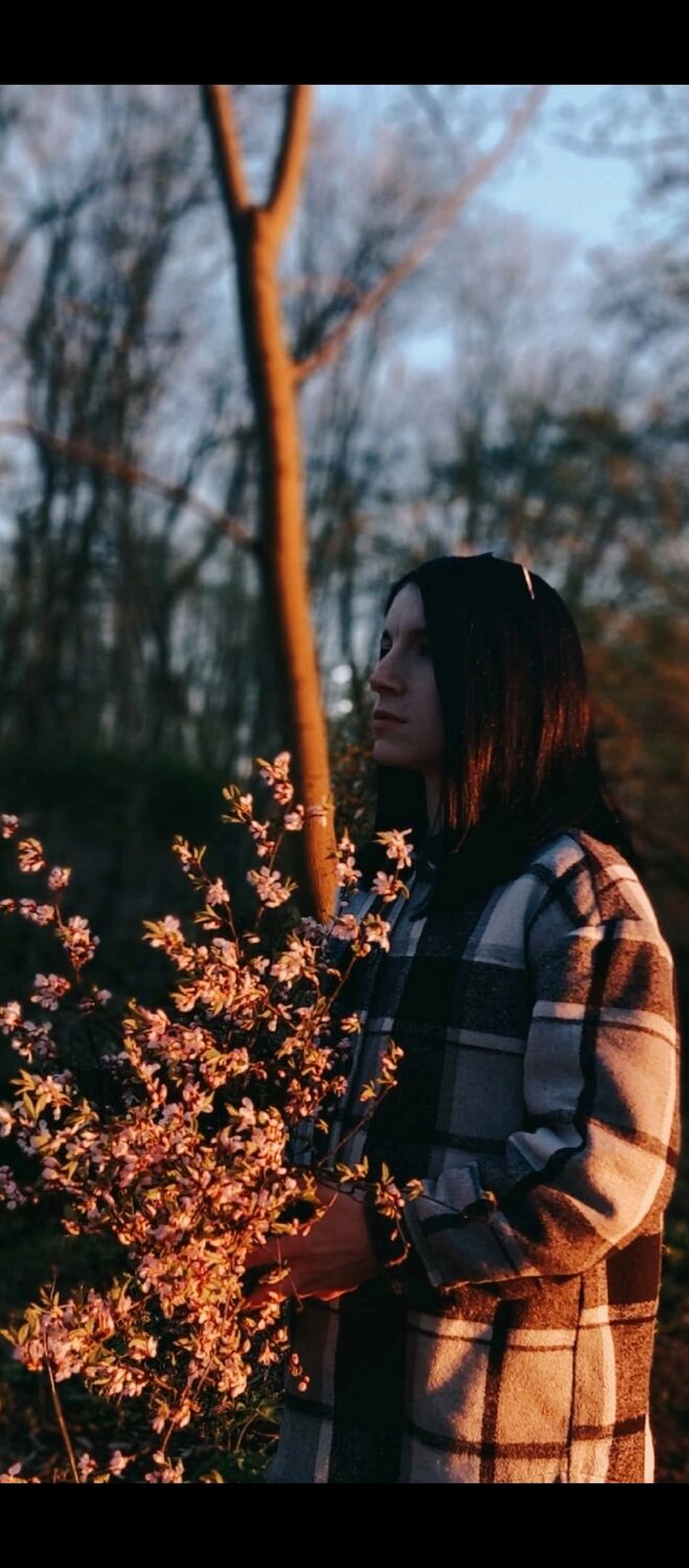 ���������� �����������, ���� ������� �����, 31 ���, ������������ ��� ������, ����� � ���������