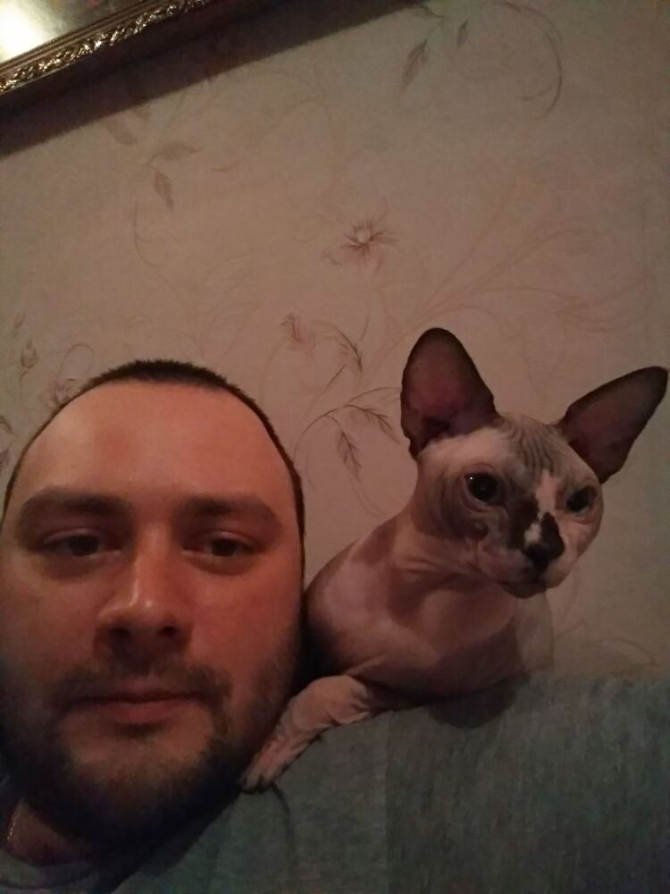 ���������� ���������, ���� ������� ��������, 40 ���, ������������ ��� ������