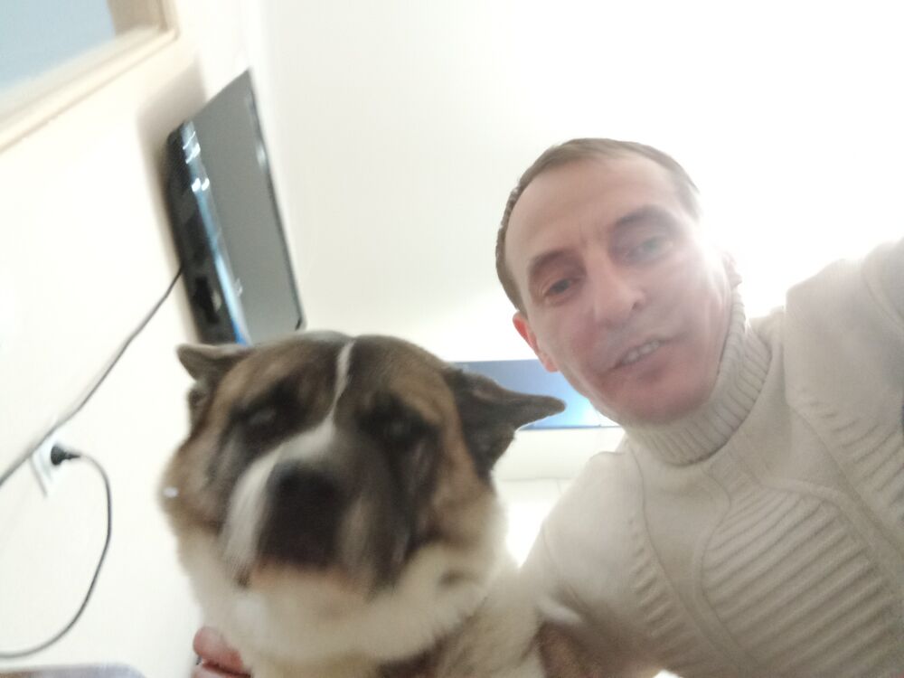  ,   , 41 ,   ,   , 