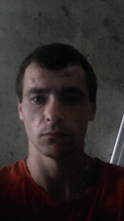  ,   89094431571, 33 ,   