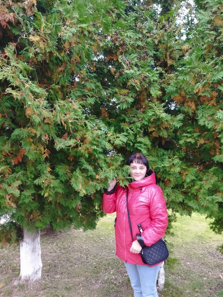 ���� 54966567 ������� �����, 50 ���, ���� ���������� � �������