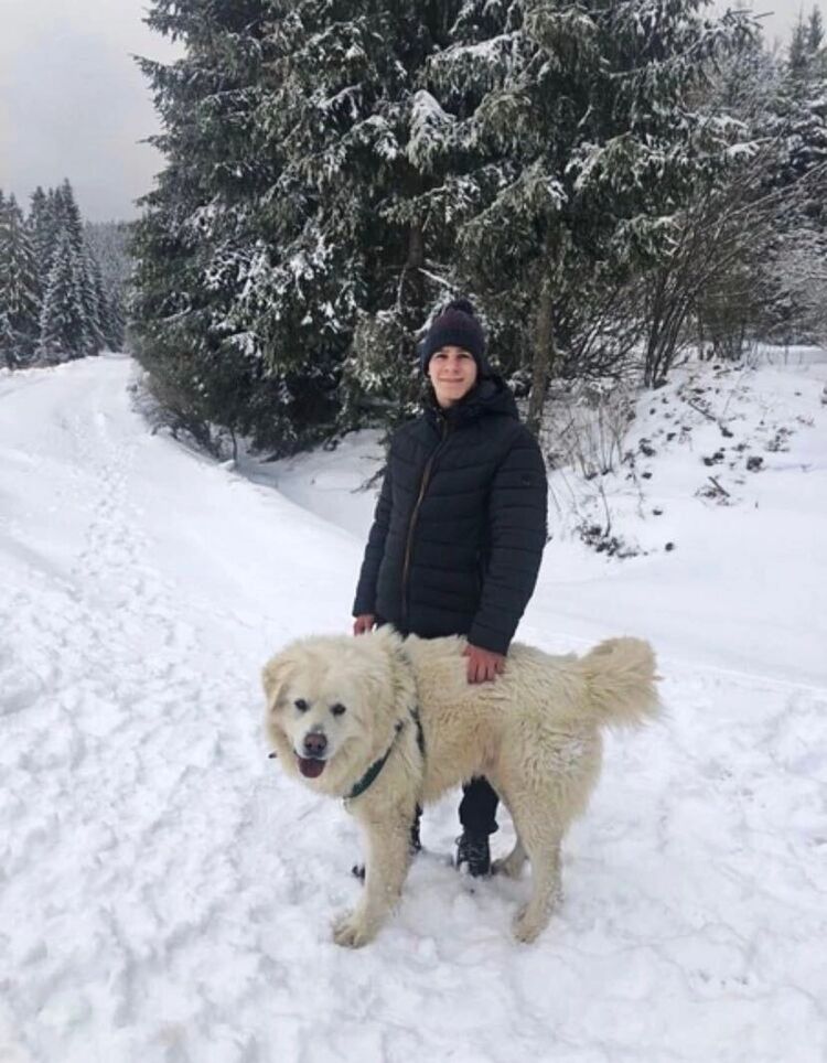 ���������� ���������, ���� ������� ����, 27 ���, ������������ ��� ������, ����� � ���������, c�������� ���������, ���������