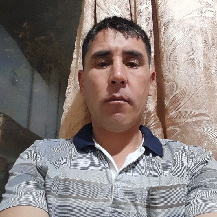  42668197  , 36 ,    