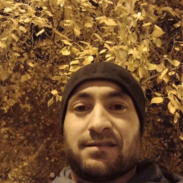 ���������� ������������, ���� ������� �����, 38 ���, ������������ ��� ������, ����� � ���������