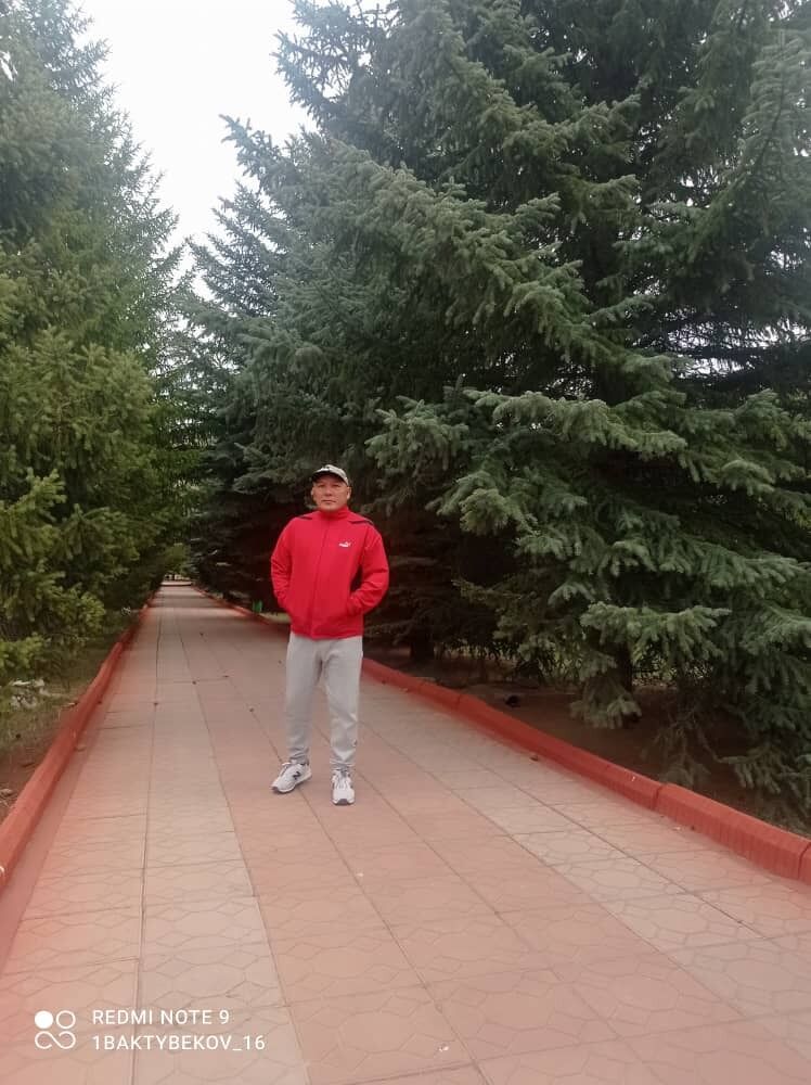 49277207  , 38 ,    