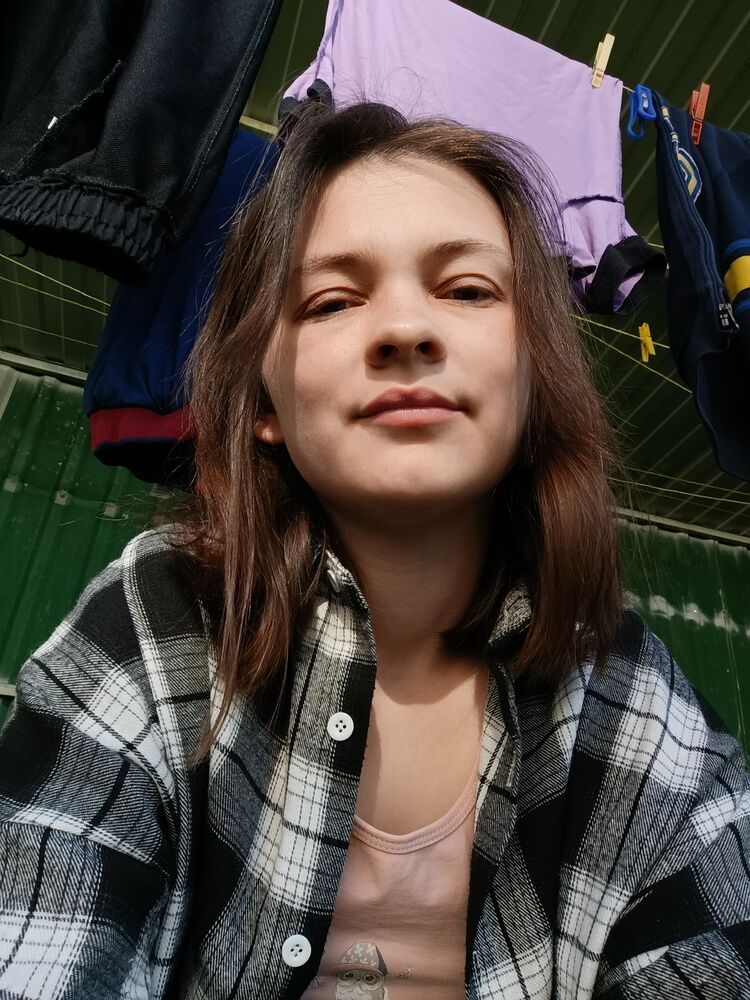  53865167  , 26 ,    