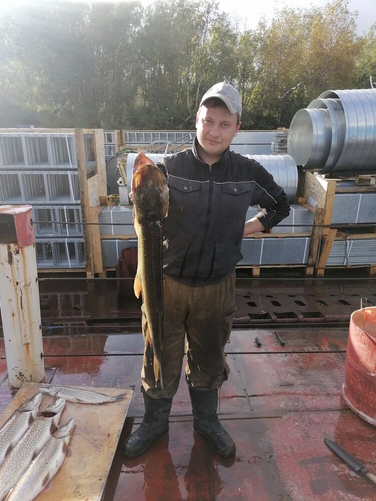 ���������� �����������, ���� ������� ����, 33 ����, ������������ ��� ������, ���������