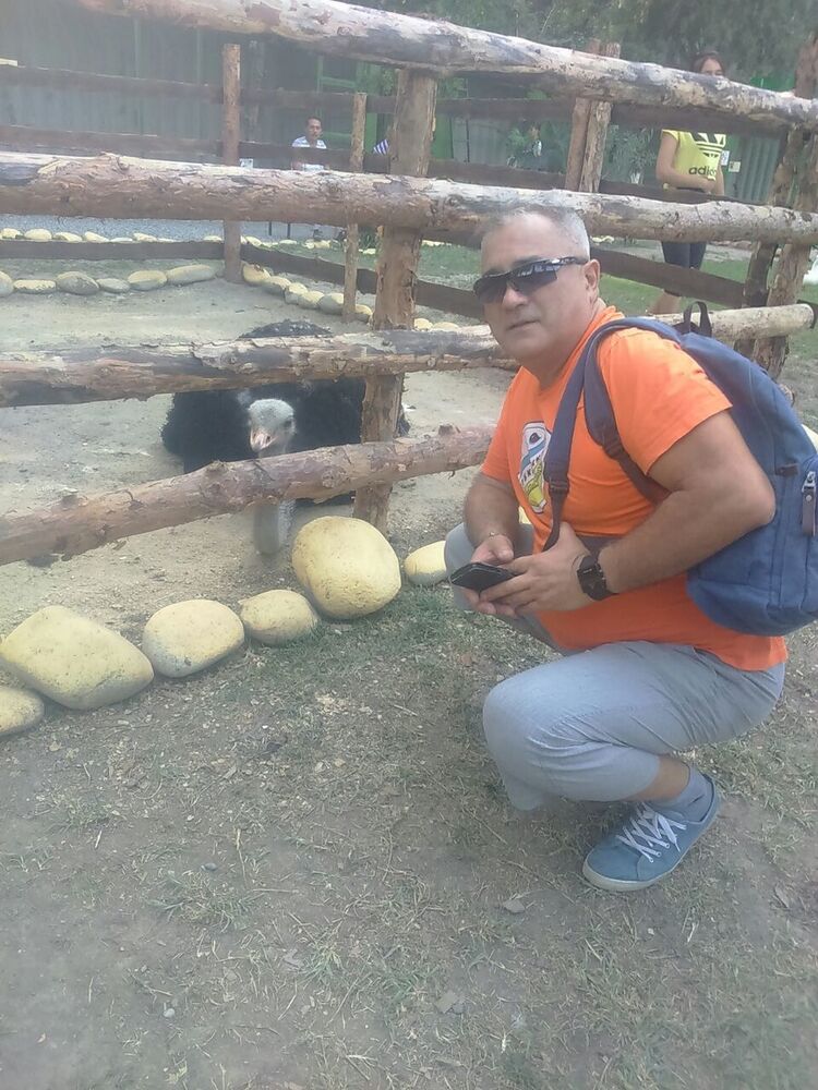  ,   , 54 ,   