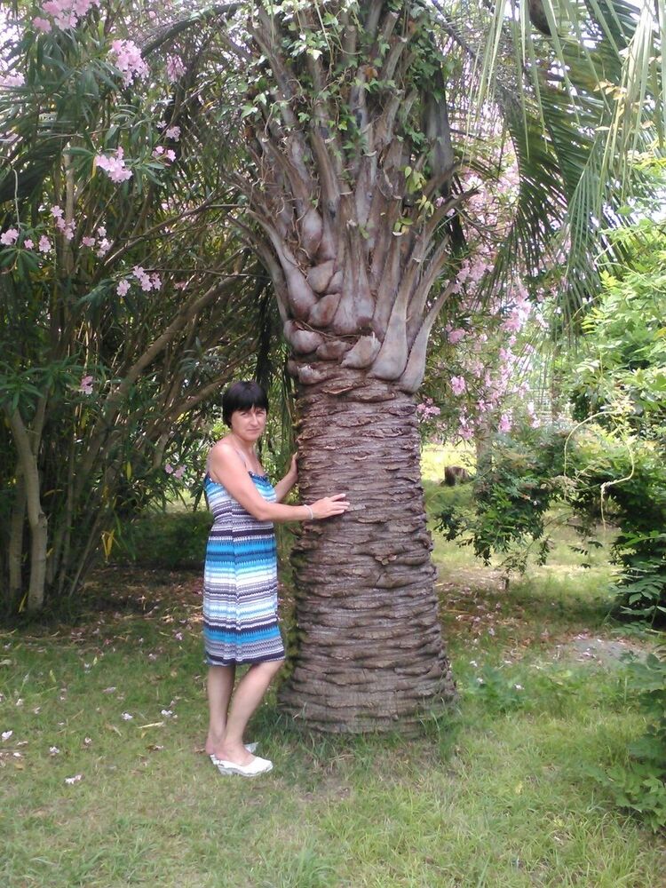  -,   , 54 ,   ,   , c 