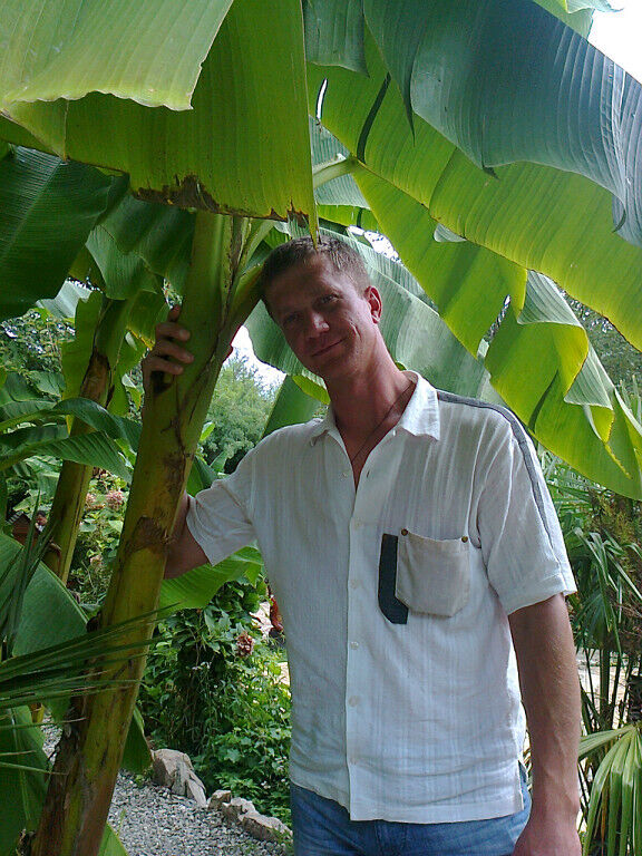 ���� 37879867 ������� ����, 50 ���, ���� ���������� � ����������