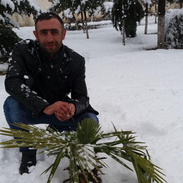  ,   Osqar, 40 ,   ,   , c 