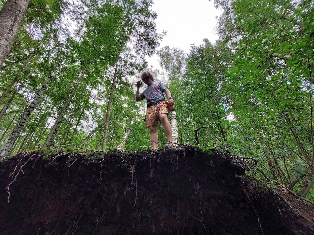 ���� 37826667 ������� ����, 29 ���, ���� ���������� � �����-����������