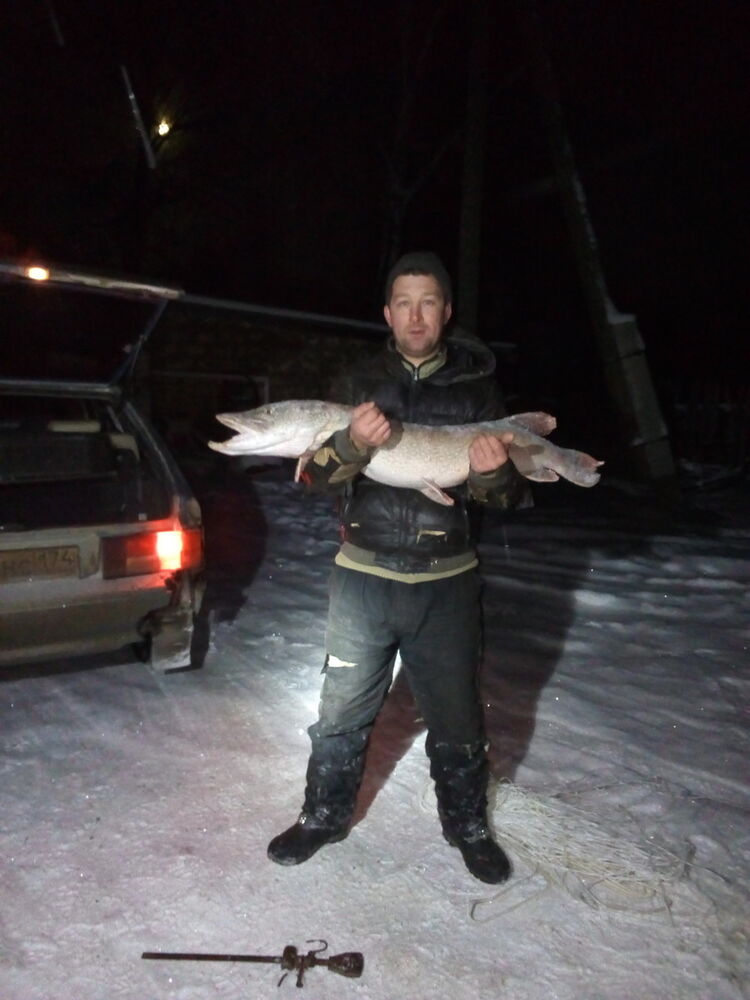 ���������� �����, ���� ������� ���������, 38 ���, ������������ ��� ������, ����� � ���������, c�������� ���������