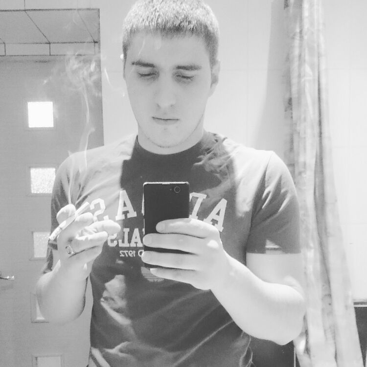  18136767  , 31 ,    