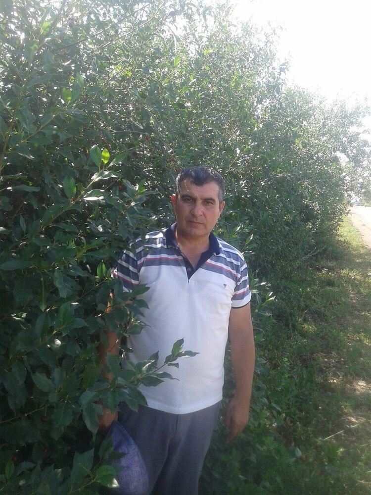 ���������� ��������, ���� ������� ����, 47 ���, ������������ ��� ������, ����� � ���������, c�������� ���������