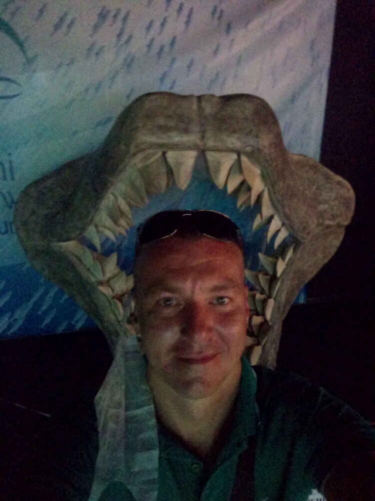 ���������� ������, ���� ������� ������, 38 ���, ������������ ��� ������, ����� � ���������, c�������� ���������