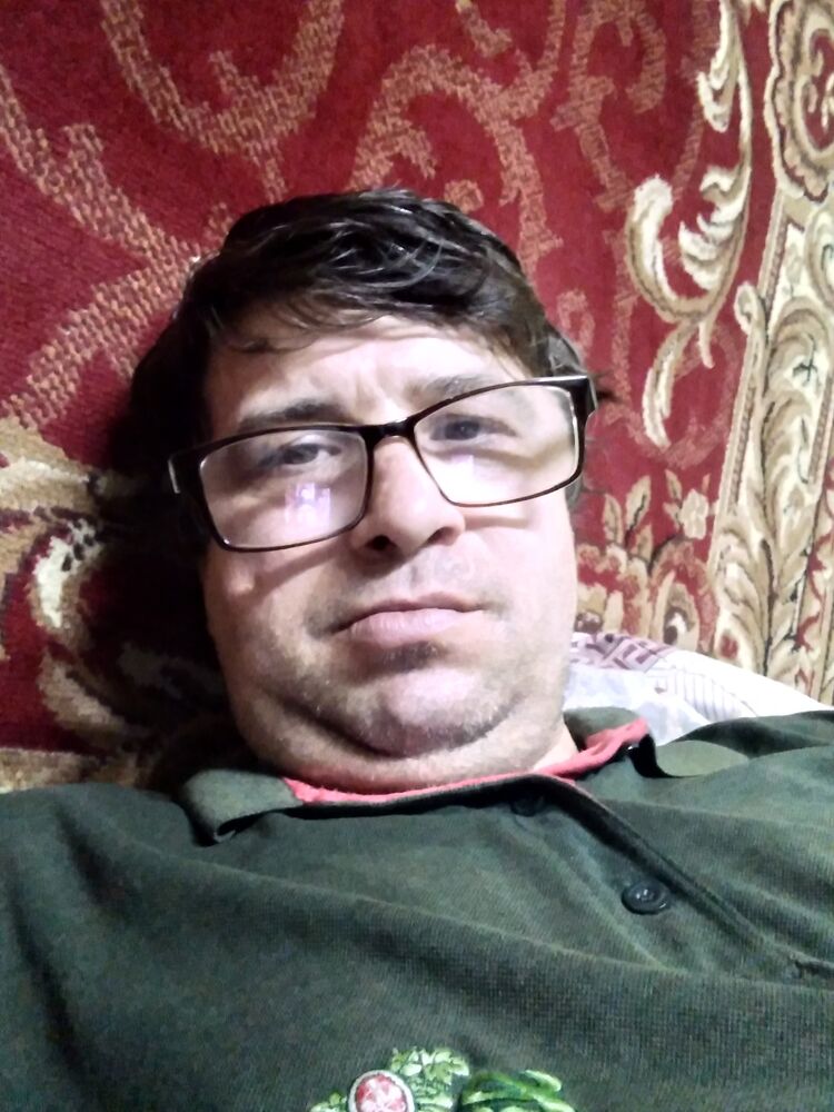  31984417  , 43 ,    