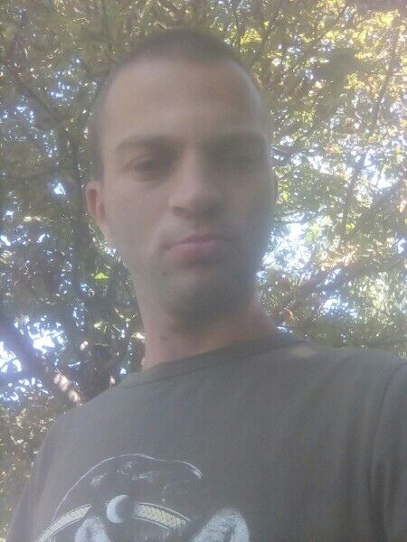  37696497  , 29 ,    