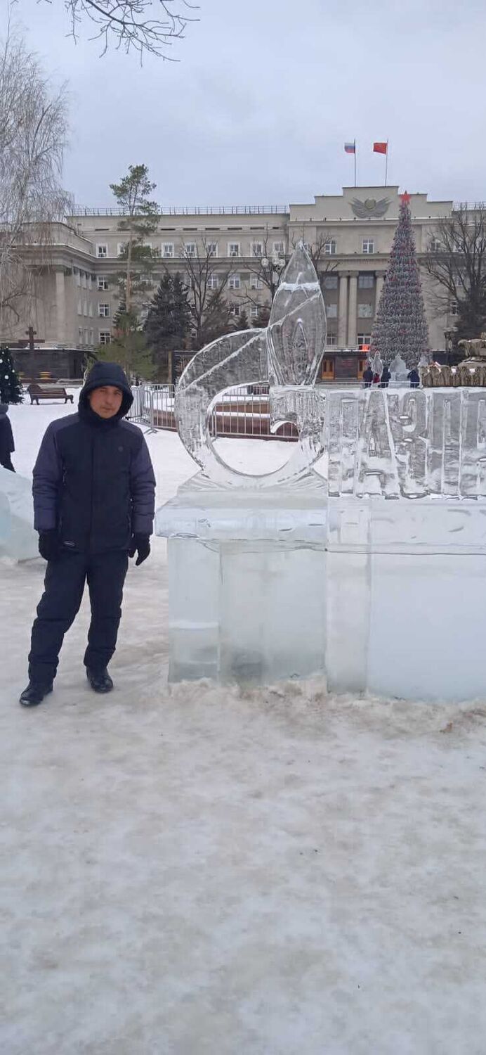 ���� 31963437 ������� �������, 36 ���, ���� ���������� � ������