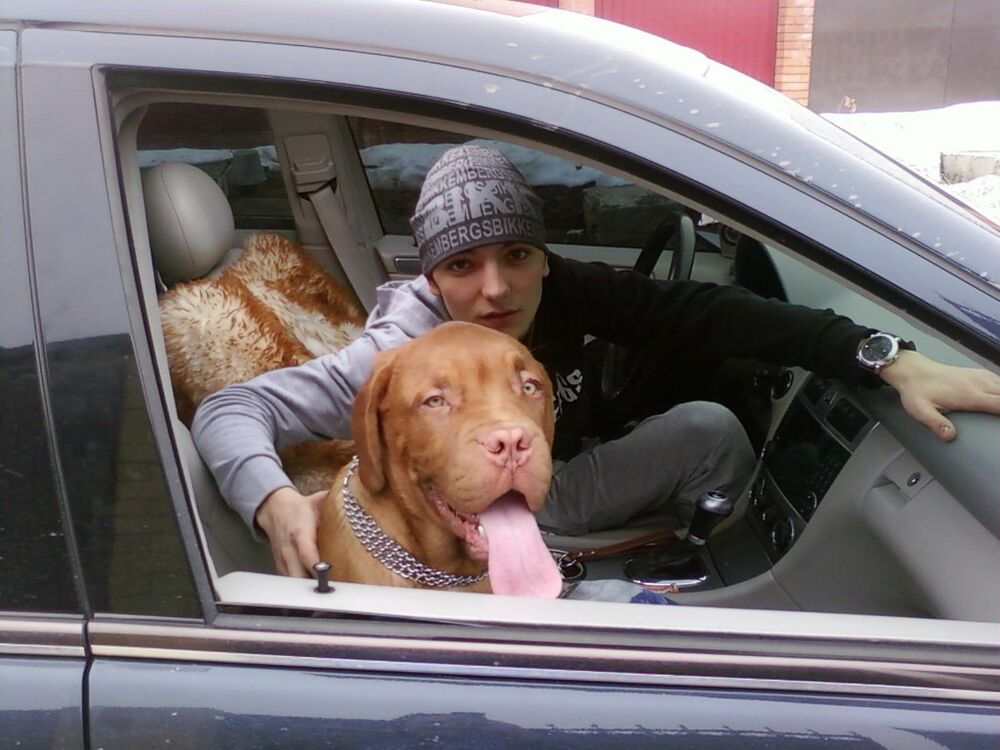  4022347  , 35 ,    --