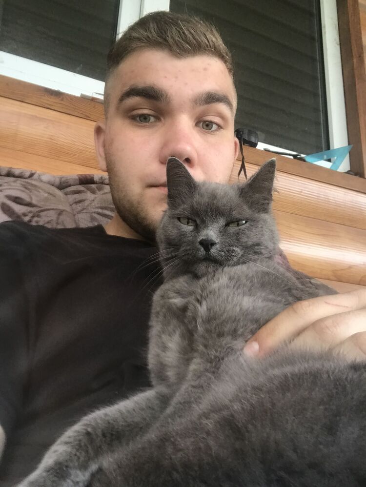 ���������� �����������, ���� ������� ���������, 26 ���, ������������ ��� ������, ����� � ���������, c�������� ���������, ���������