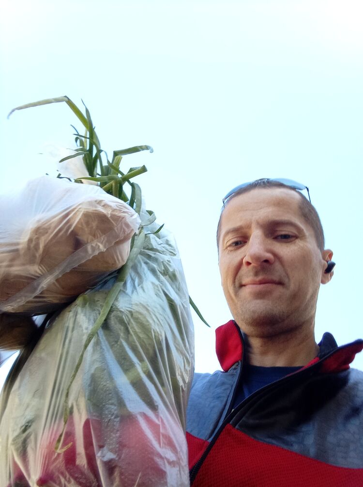 ���������� �������, ���� ������� ������, 43 ����, ������������ ��� ������, ����� � ���������, c�������� ���������