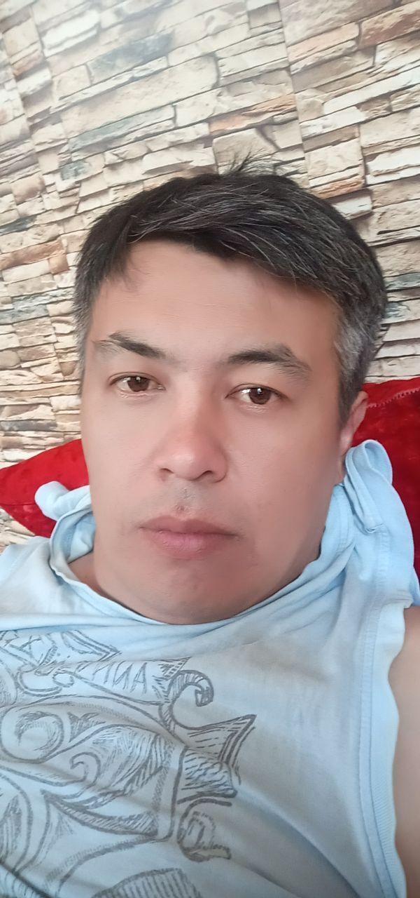  27806367  , 37 ,    