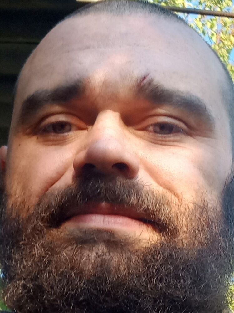 ���� 29754537 ������� Kot, 33 ����, ���� ���������� � �����