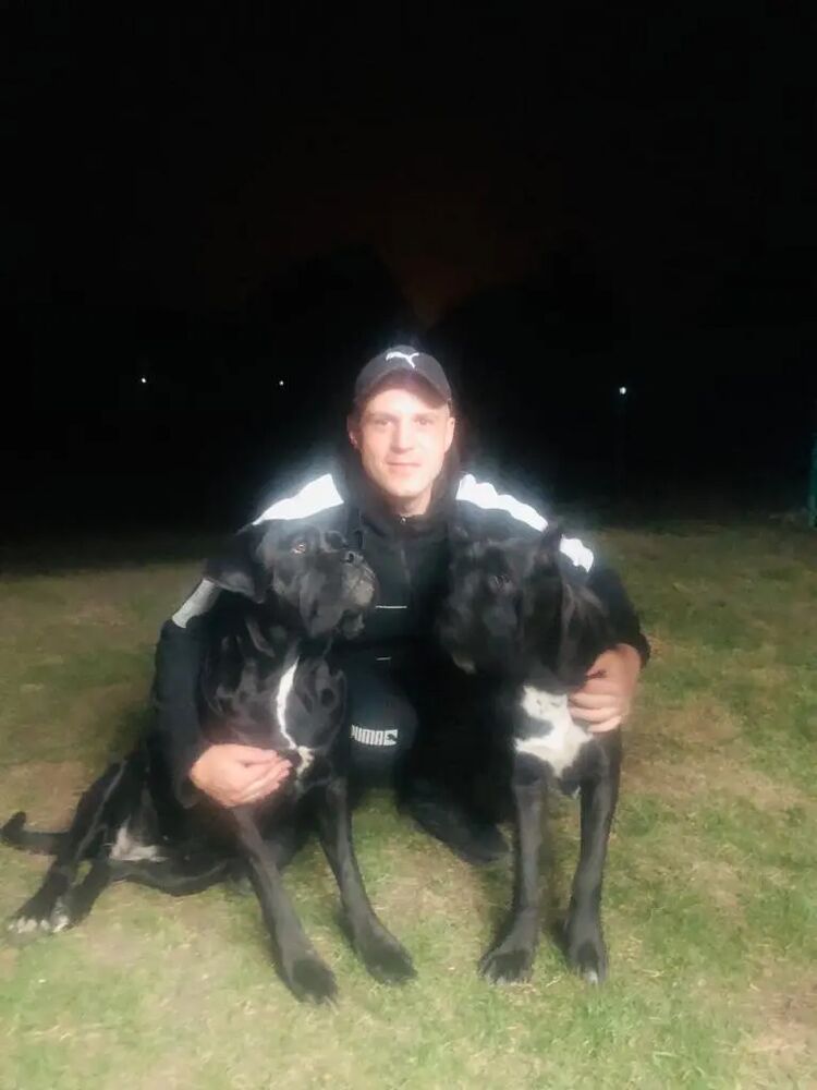 ���������� �����������, ���� ������� ������, 34 ����, ������������ ��� ������, ����� � ���������, c�������� ���������